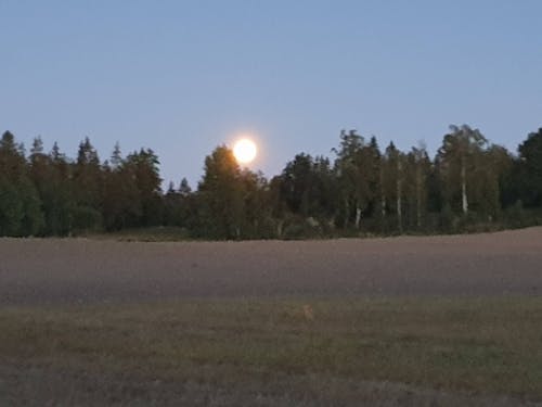 Foto stok gratis alam, luna, Swedia