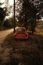 Free stock photo of abandoned, accident, beetles