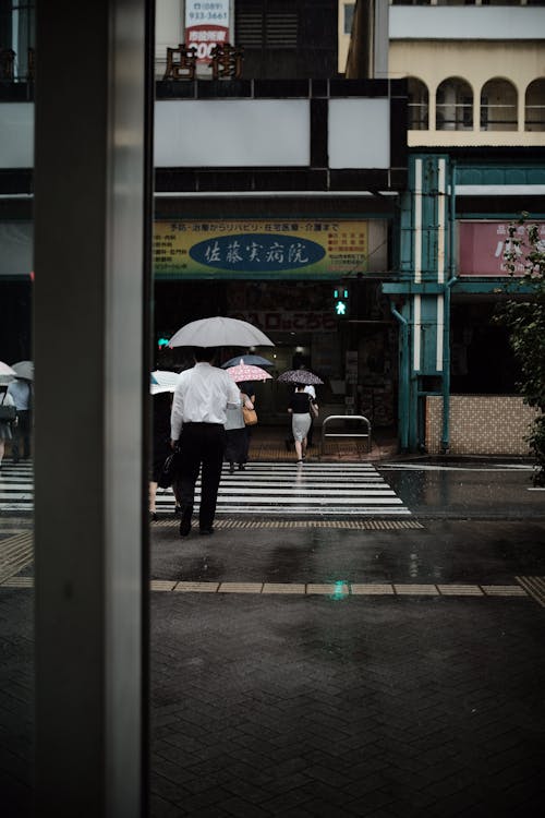 Free People Walking on Street With Umbrellas Stock Photo