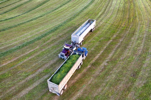 Blue and White Utility Trailer on Green Grass Field