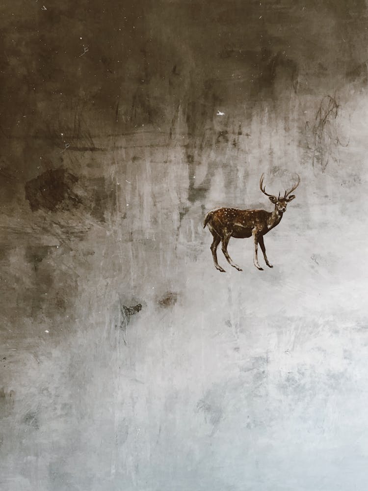 Deer On Painting