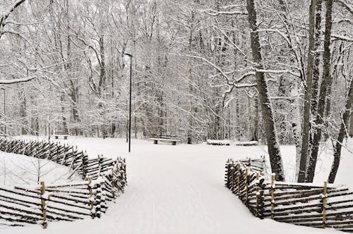 apladalen, 下雪, 公園 的 免费素材图片