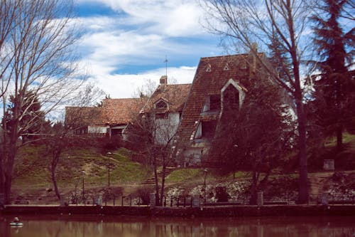 Free stock photo of ifrane, love, nature