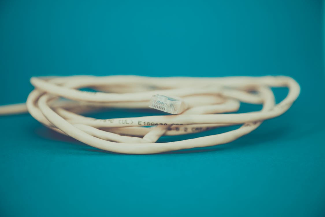 Free stock photo of cable, cat 5e, ethernet Stock Photo