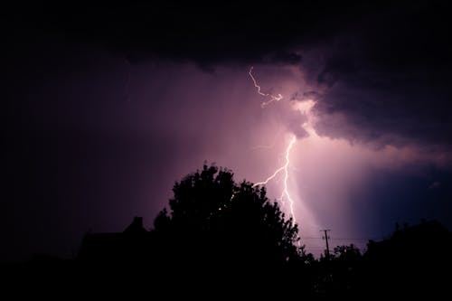 Lightning Strike on Trees during Night Time