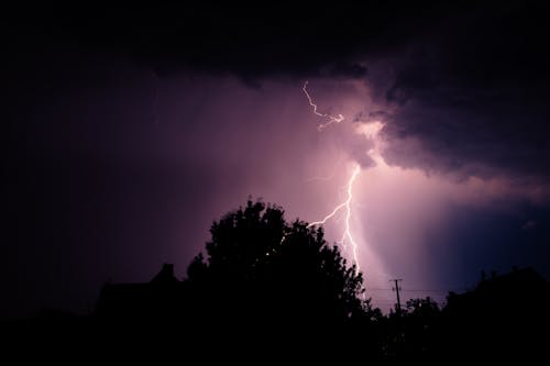 Lightning Strike on Trees During Night Time