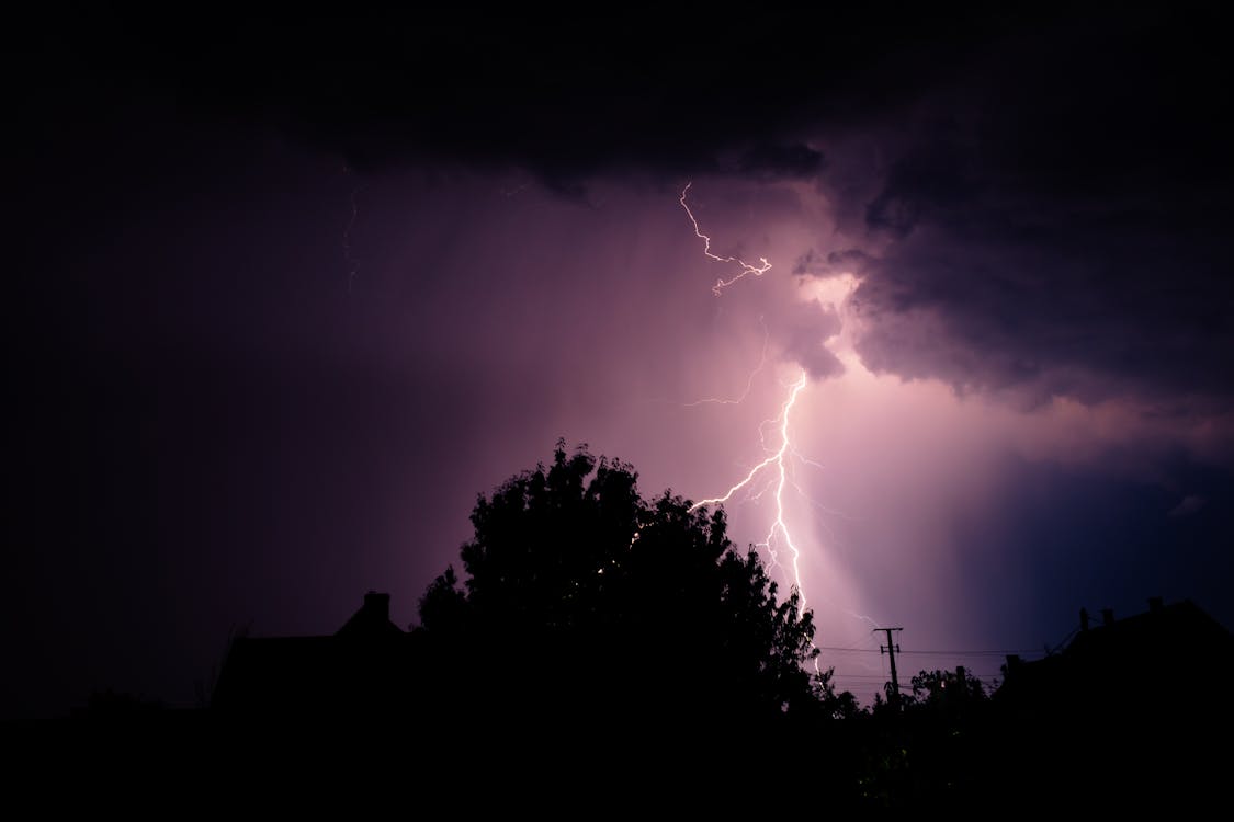 Lightning Strike on Trees During Night Time