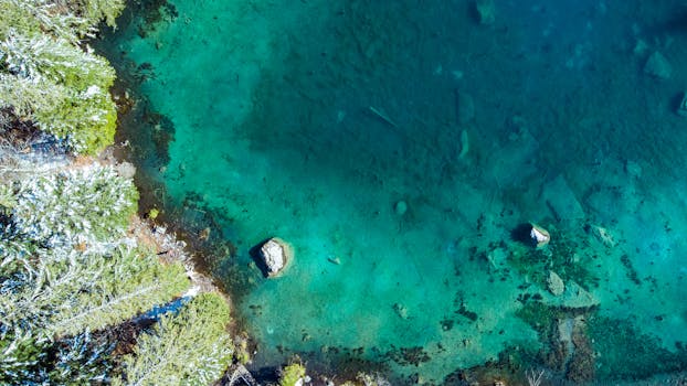 A stunning aerial shot of a turquoise lake shoreline surrounded by lush greenery.