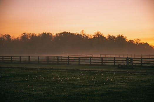 A peaceful foggy morning scene in rural Bemidji, Minnesota, with fences and trees at dawn.