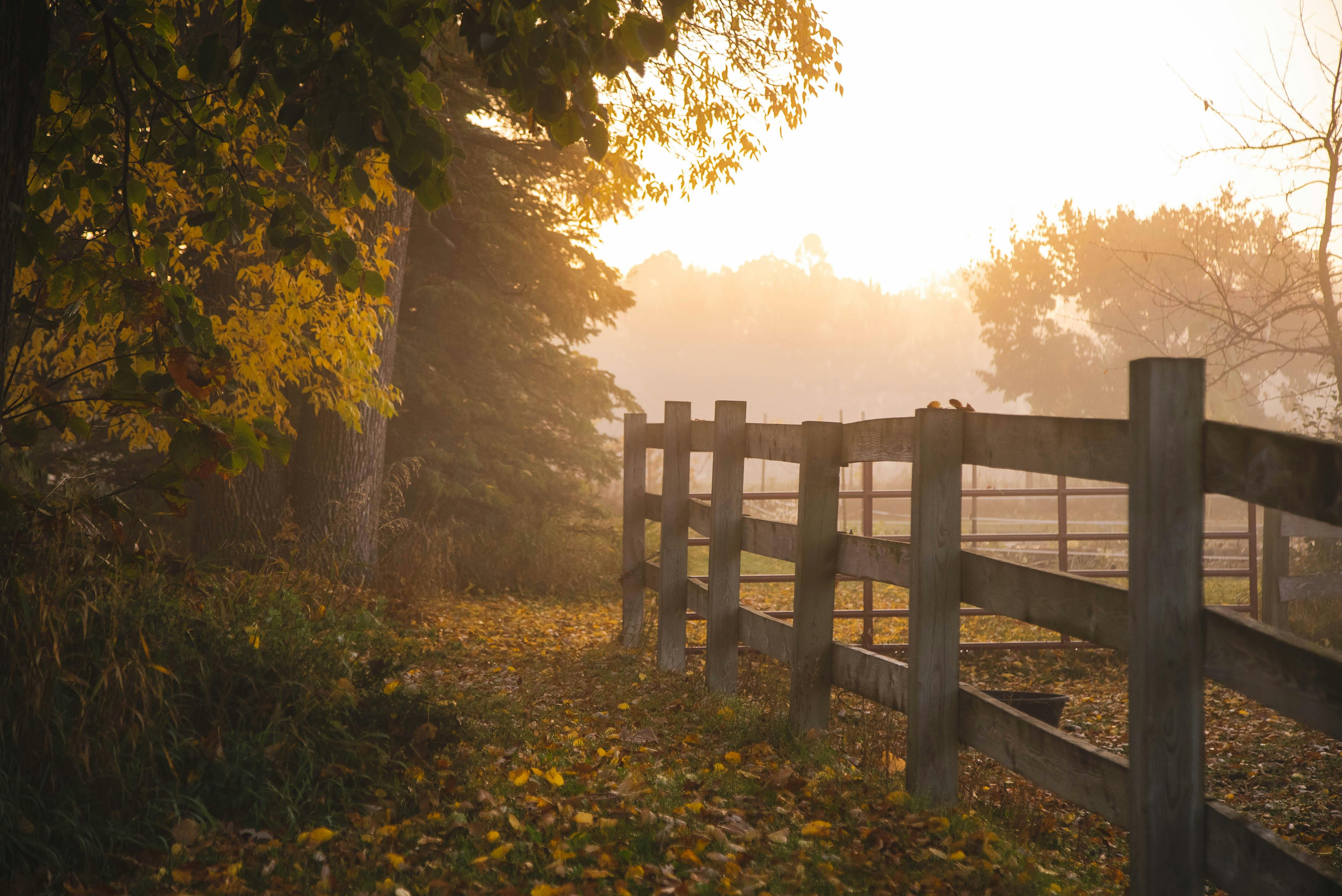 Navigating a late-career change — Photo by Josh Hild on Pexels