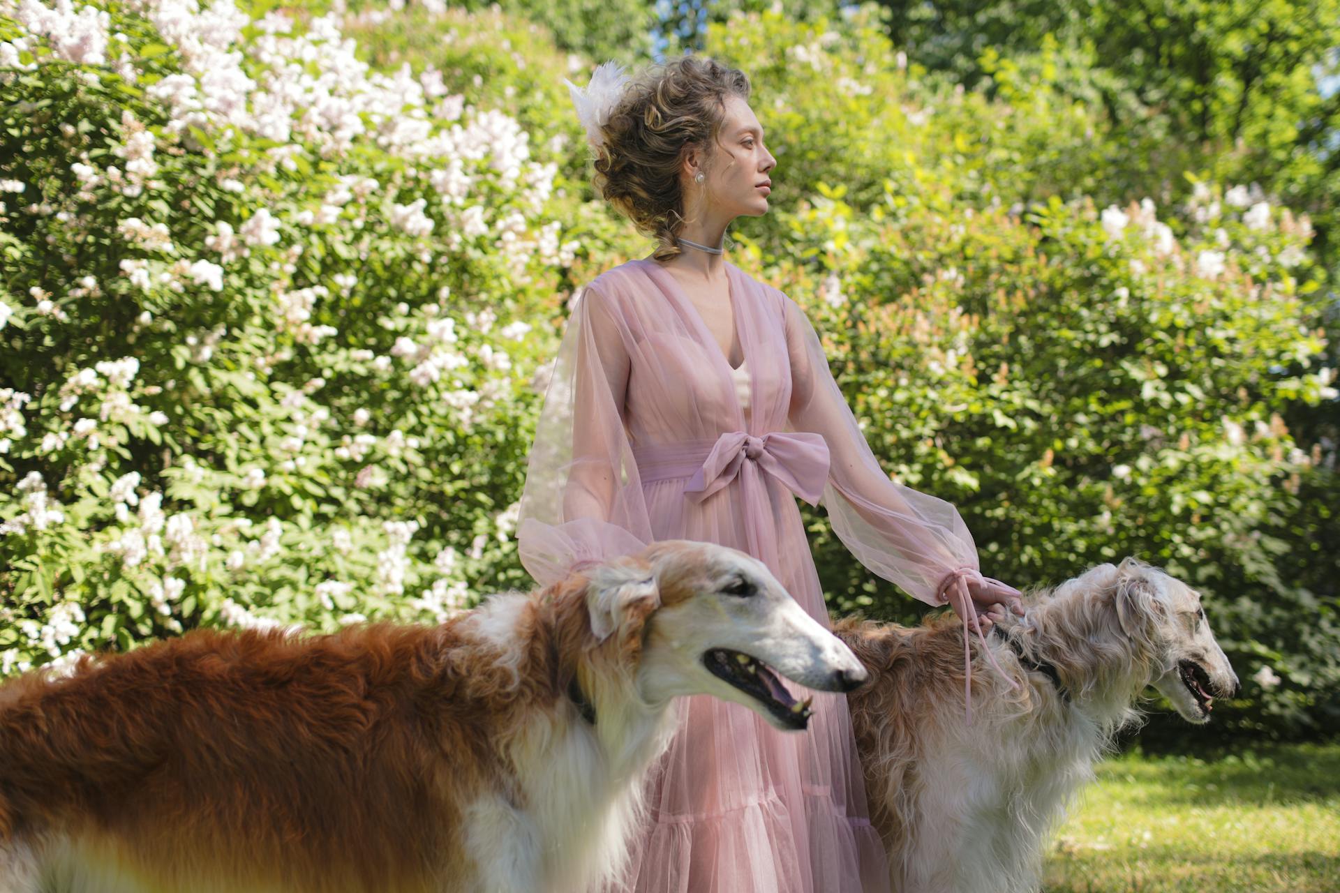 A Woman Standing In Between of her Pet Dogs