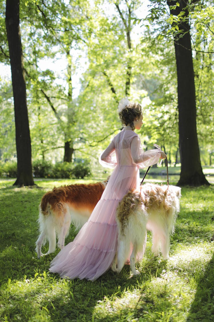 A Woman Walking With Her Pet Dogs In The Park