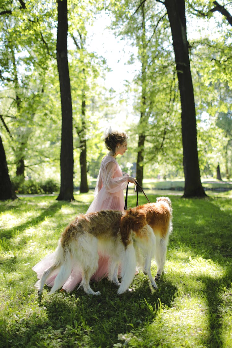 Woman In Pink Dress Walking With Her Dogs