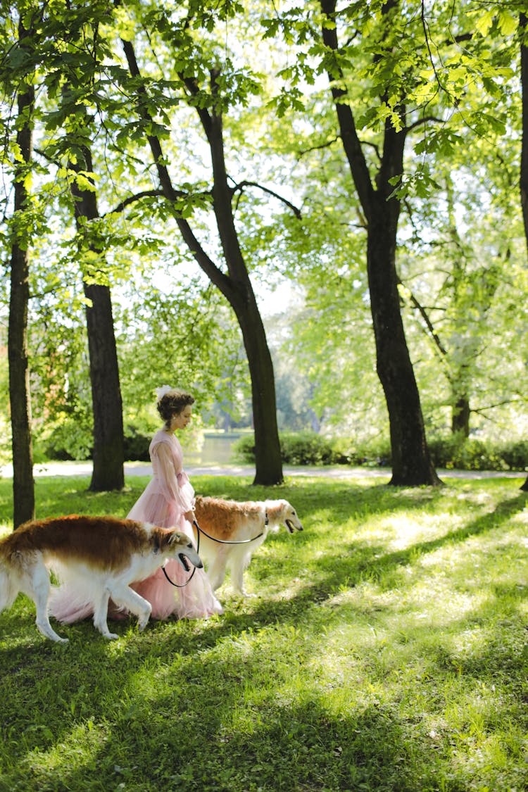 Woman Walking With Dogs