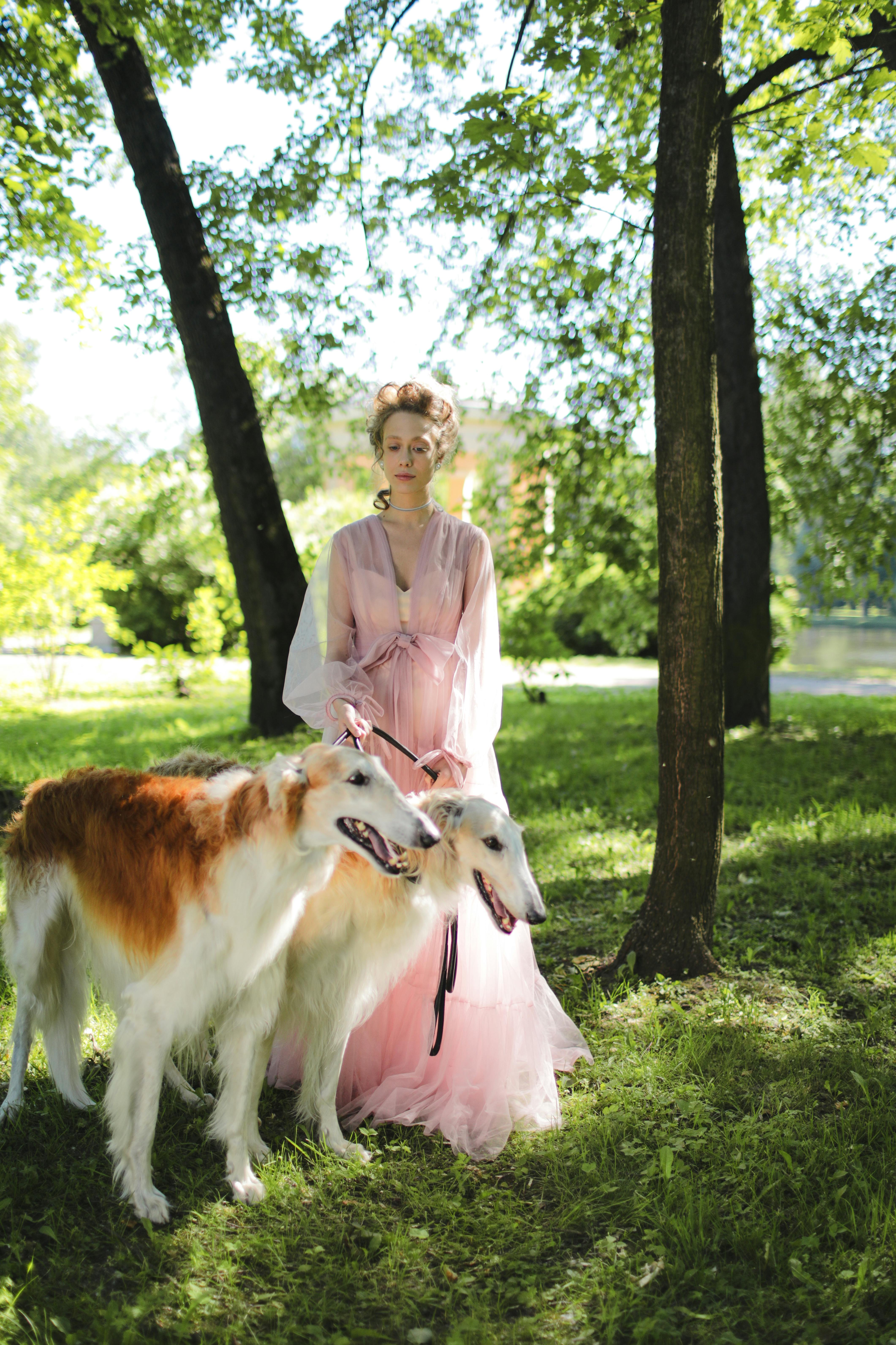 Elegant woman in a pastel dress with two Borzoi dogs in a sunlit park.