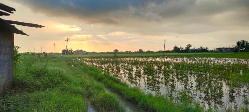 Free stock photo of atmospheric evening, evening, evening sun Stock Photo