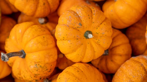 A Pile of Orange Pumpkins