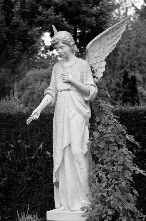 Imagine de stoc gratuită din alb-negru, fotografiere verticală, înger
