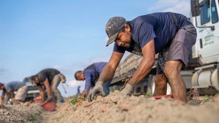 Men Working On Farm