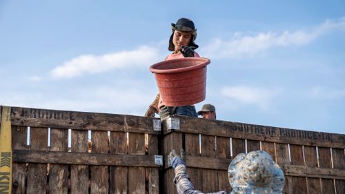 Free Construction workers pass a tub over a wooden fence at a work site. Stock Photo