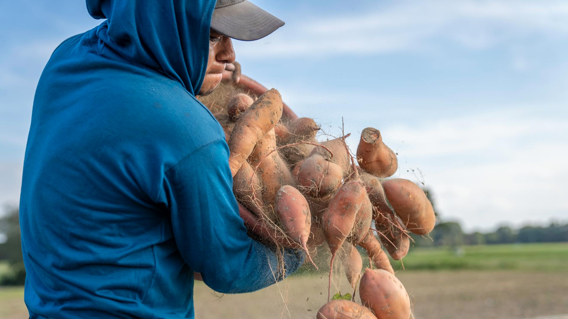 A Man in Blue Hoodie Carrying a Basket of Sweet Potatoes