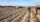 farming