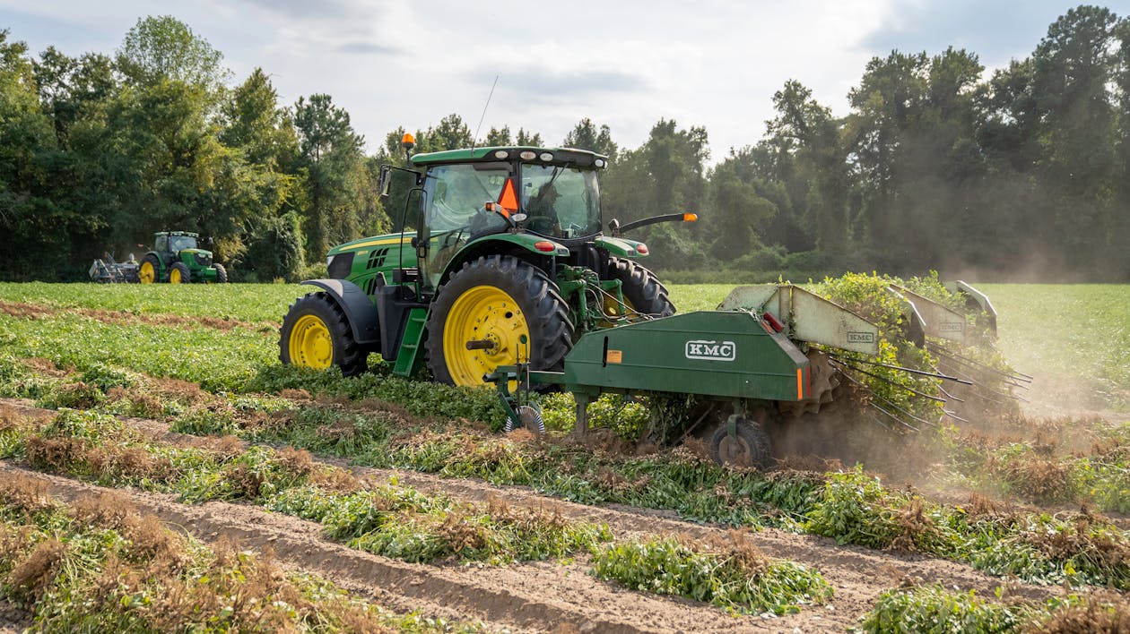 Harvester Pasturing Grass 