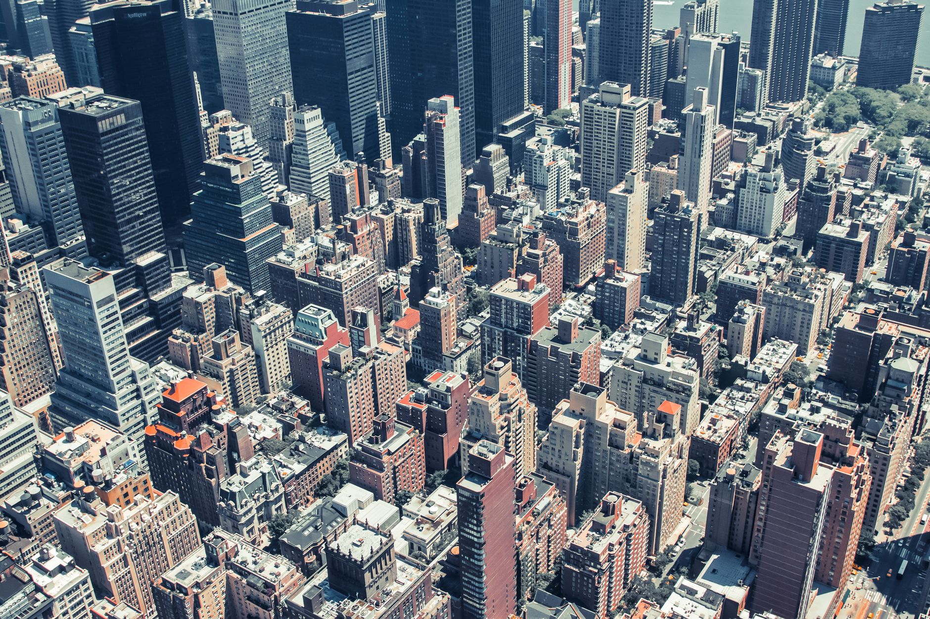 https://images.pexels.com/photos/9799072/pexels-photo-9799072.jpeg?auto=compress&cs=tinysrgb&dpr=2&h=650&w=940