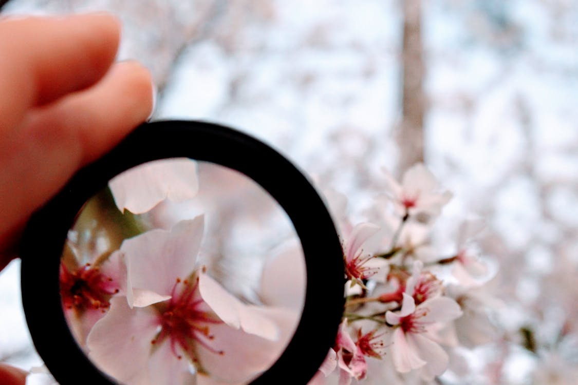 Person Holding Black Magnifying Glass