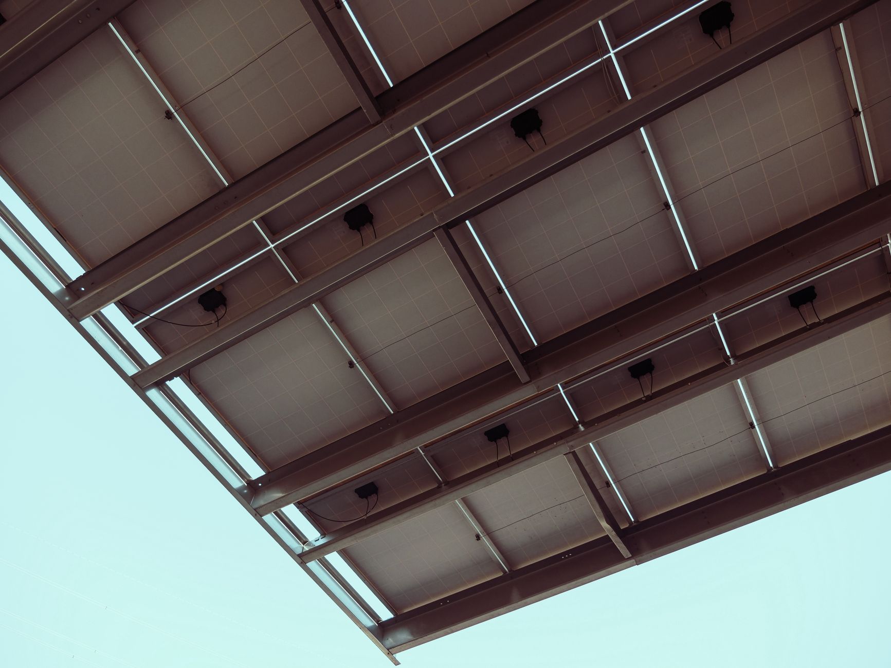 From Carbon Capture to Circular Economies: The Green Tech Revolution