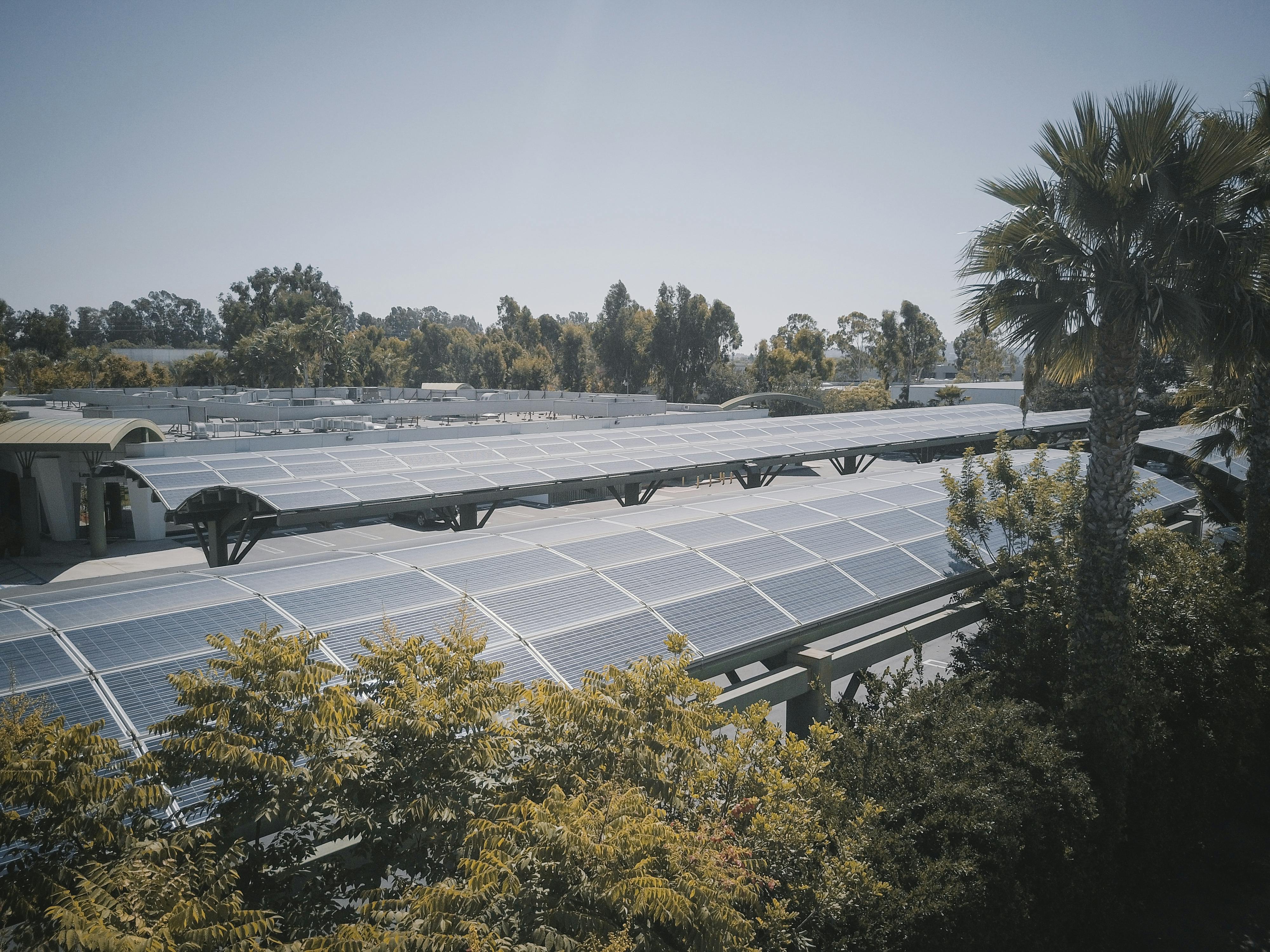 A modern solar panel farm surrounded by lush trees under a clear blue sky, promoting sustainable energy.