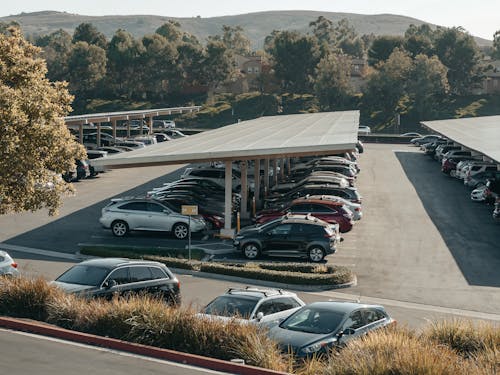 Photograph of Cars in a Parking Lot