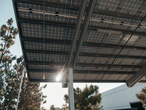 Bifacial Solar Panel