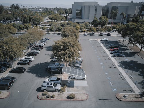 Cars Parked on Parking Lot with Trees