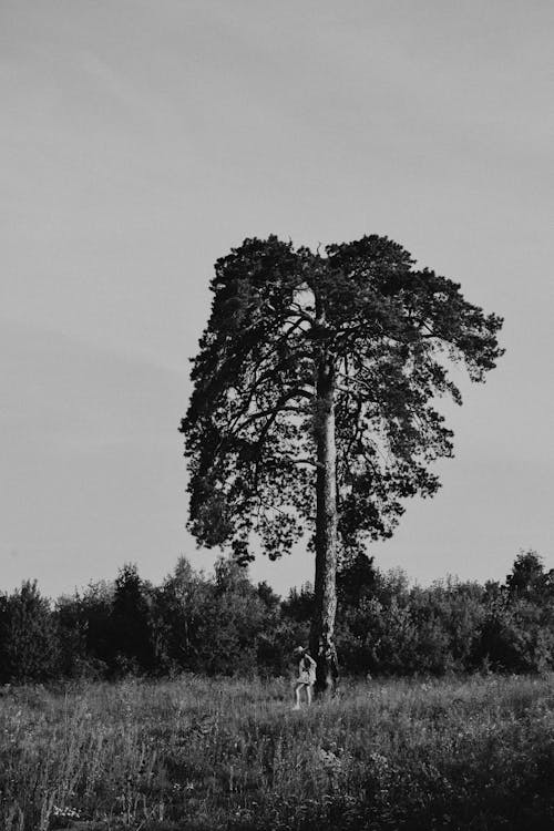 Black and White Photo of a Person Standing by a Tall Tree 