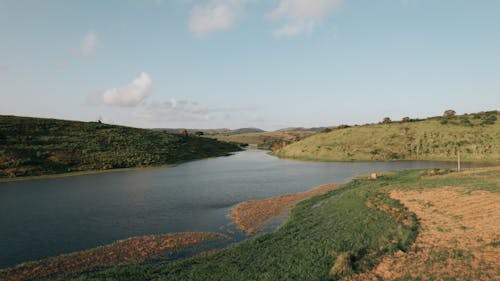 Fotos de stock gratuitas de agua, campo, césped verde