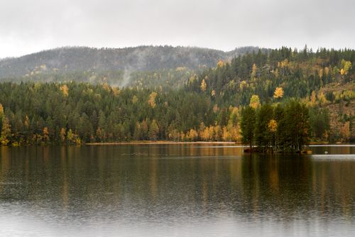 Free Tranquil autumn scene of a lake with lush forests and colorful foliage reflections. Stock Photo