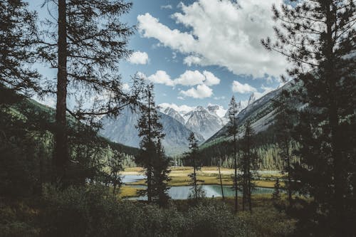Бесплатное стоковое фото с высота, горная местность, горный пик