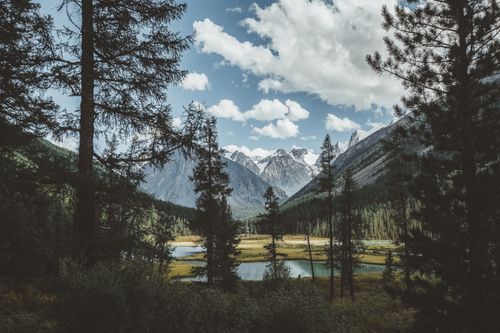 Free Idyllic mountain landscape with a serene lake and coniferous trees under a bright sky. Stock Photo