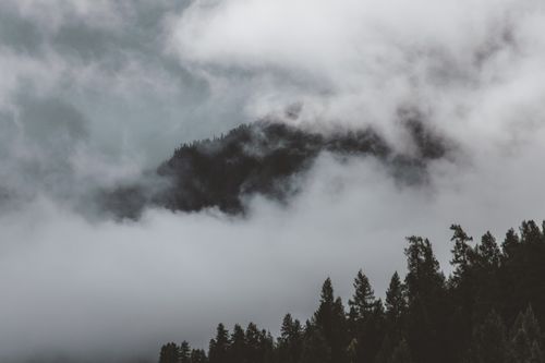 Free Peaceful foggy mountain scene with dense coniferous trees and misty clouds. Stock Photo