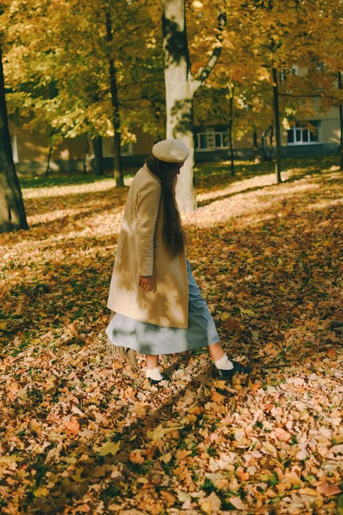 Ilmainen kuvapankkikuva tunnisteilla baskeri, brunette, elämäntapa