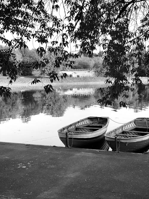 Fotobanka s bezplatnými fotkami na tému čiernobiely, čierny a biely, jazero