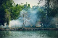 埃纳库拉姆湖畔绿树缭绕，景色宁静，展现了自然的宁静风光