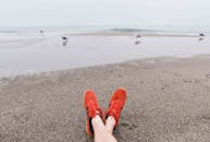 沙滩上，一双红色运动鞋的背景是海鸥和海浪