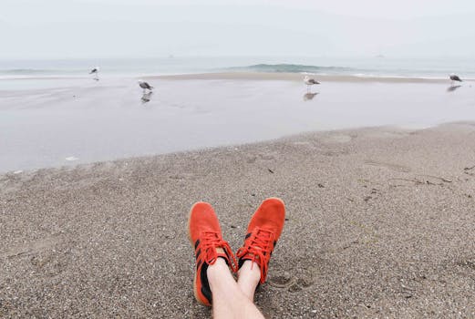 沙滩上，一双红色运动鞋的背景是海鸥和海浪