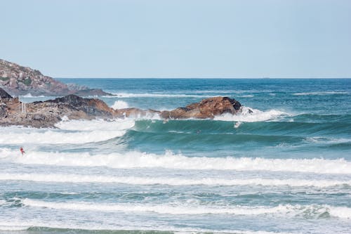 免費 天性, 太平洋, 岩石 的 免費圖庫相片 圖庫相片