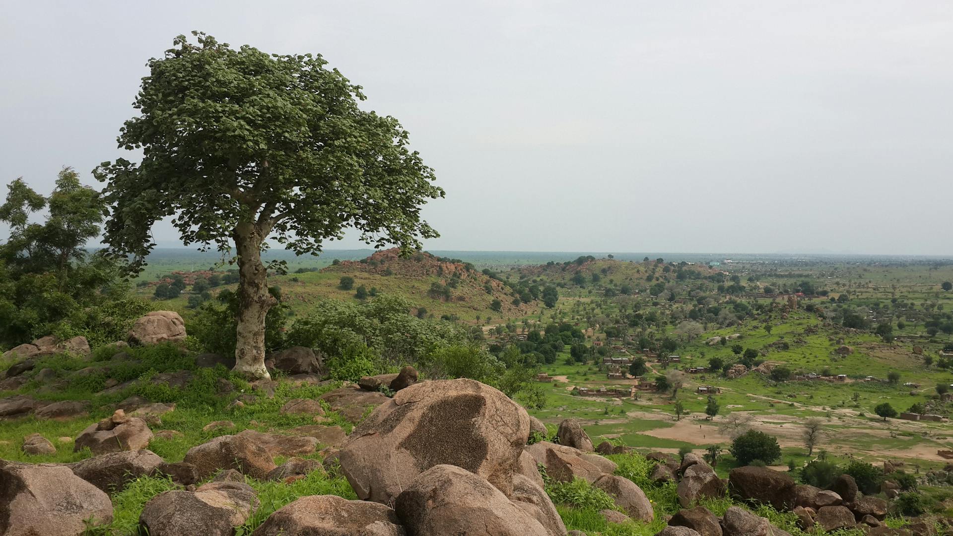 Lush trees and rocky terrain in Kaduqli, Sudan showcasing rural beauty and broad horizons.