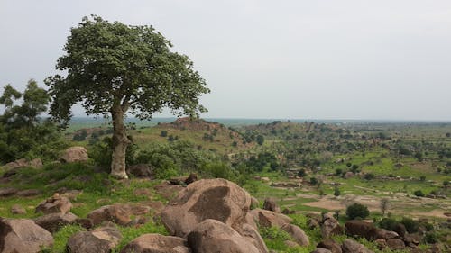 Only One Survivor As Landslide Hits Sudan’s Marra Range