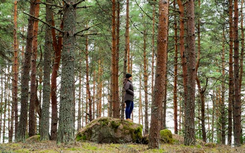 Donna Su Alberi Di Pino Circondato Da Roccia