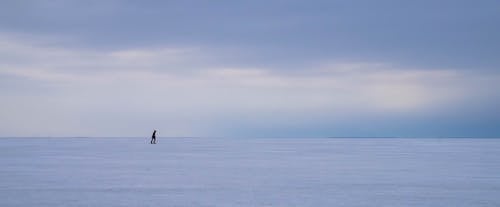 Personne Sur Un Sol Enneigé